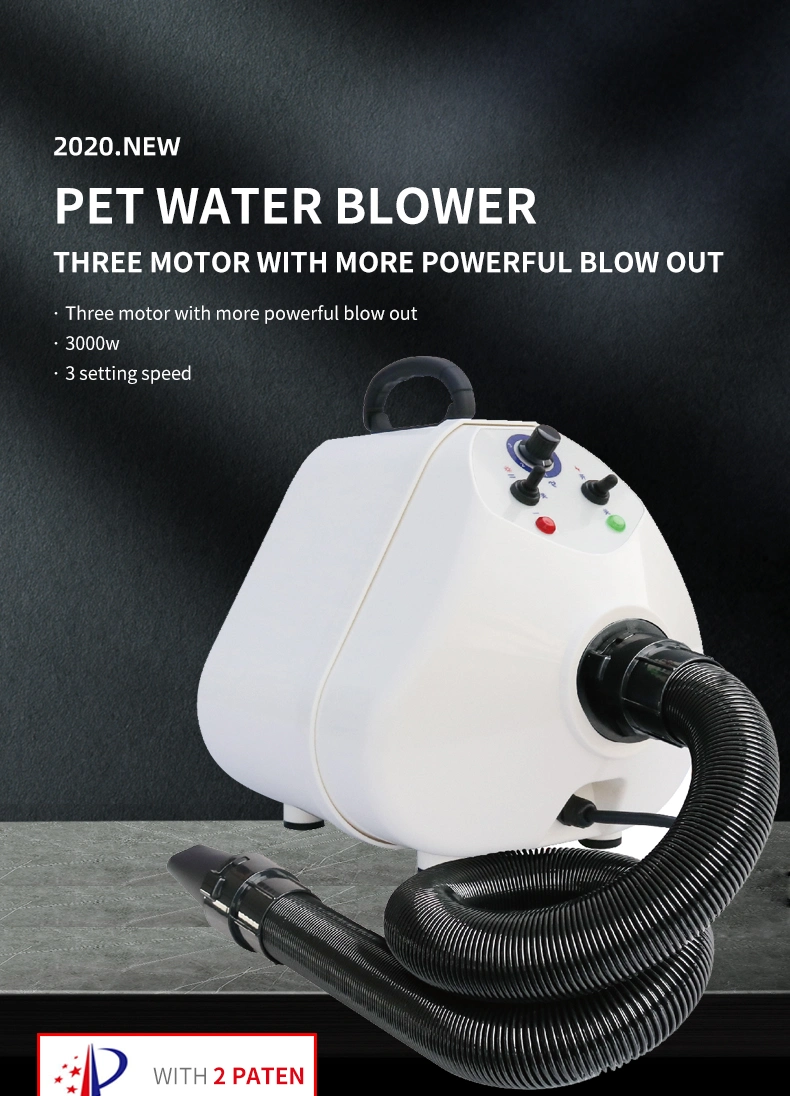 Hot Selling Pet Animal Hair Dryer Water Blower GS-2400