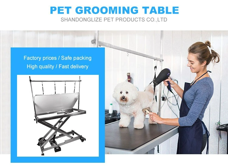 Foldable Stainless Steel Electric Dog Grooming Table for Pet Care