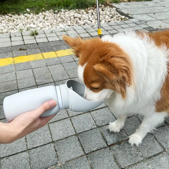 Portable Dog Pet Drinker Travel Water Bottle Outdoor Drinking Accompanying Cups