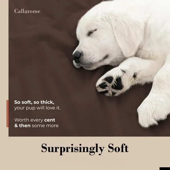 Brighthomey Premium Waterproof Pet Blanket for Couch and Bed Protection 
