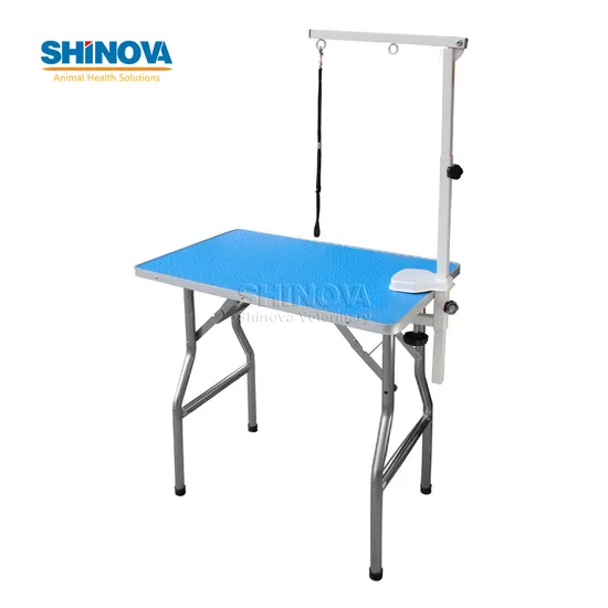Hot Sale Stainless Steel Hydraulic Grooming Table Pet Beauty Workbench with Hanger Gt
