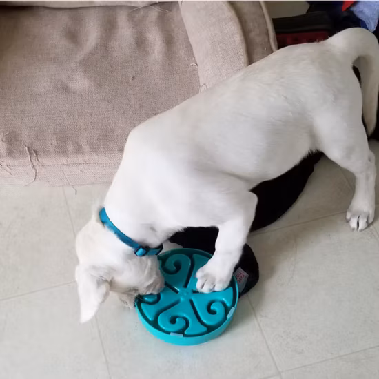 Love and Fun Shaped Pet Slow Food Cushion Food Grade Silicone Smell Slow Food Cushion Anti Choking and Easy to Clean Dog Feeder