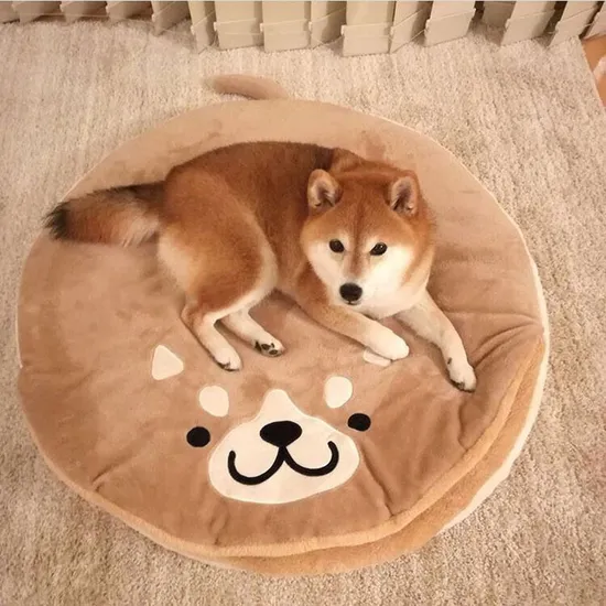Bear Animal Dog Sleeping Pads Pet Beds Puppy Cushion Blanket 
