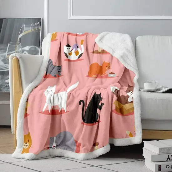 Sherpa Blanket for Bed Couch Chair Soft Warm Cozy Pet Blanket 