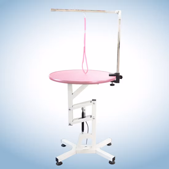 Veterinary Vet Hospital Grooming Table Adjustable Small Pets Metal Spray Pet Grooming Table for Sale Dogs