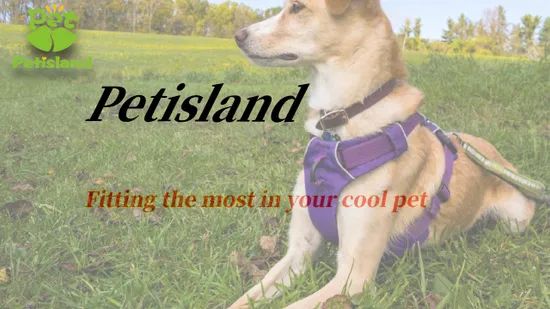 Wholesale Food Grade Leakproof Outdoor Portable Travel Pet Drinker Pet Puppy Water Dispenser Cat Travel Cup Dog Water Bottle 