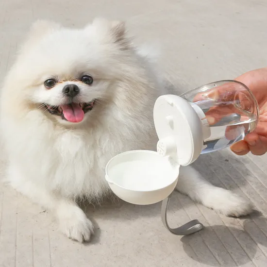 Portable Pet Water Bottle Outdoor Travel Drinking Cup Feeding Bowl with Lanyard 