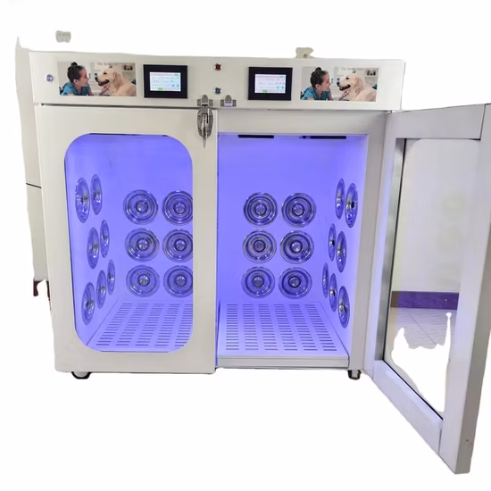 Hot Sale 2 in 1 Pet Hair Dryer Room Equipment Dry Room Machine Automatic Pet Dryer Cabinet
