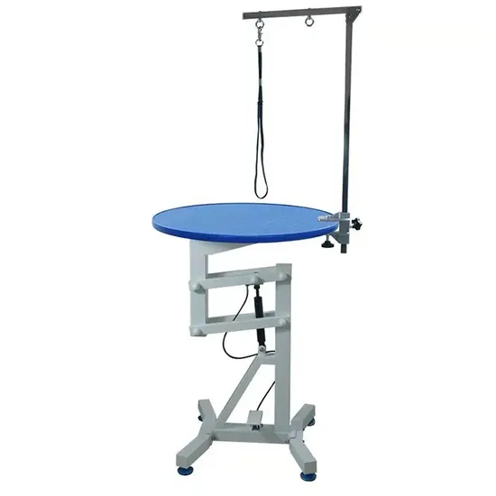 Heavy Duty Electric Lifting Grooming Table for Professional Pet Care 