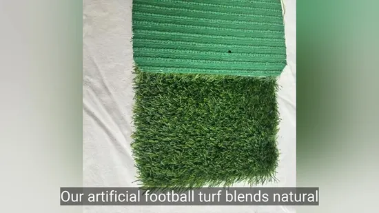 500ml/17oz Outdoor Indoor Plastic Motivational BPA