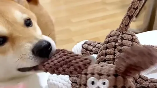 Novelty Factory Direct Amazon Wholesale Pet Products Plush Cotton Rope Dog Chew Squeaking Toy Giraffe Head Pet Toys Dog Toys Rope Toy Chew Toy (80022) 