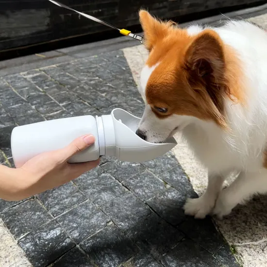 Puppy Walk Outdoor Bowl Cup Leakproof Bottle Travel Dog Drinking Portable Pet Water Bottle 