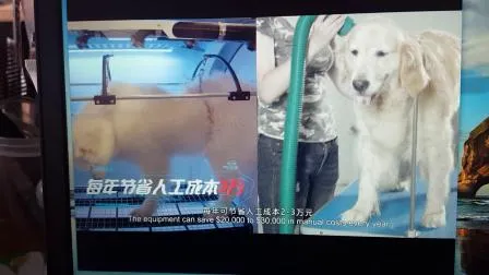 Dryer for Dog Cats Grooming Pet Bath Dryer Blowing Hair 