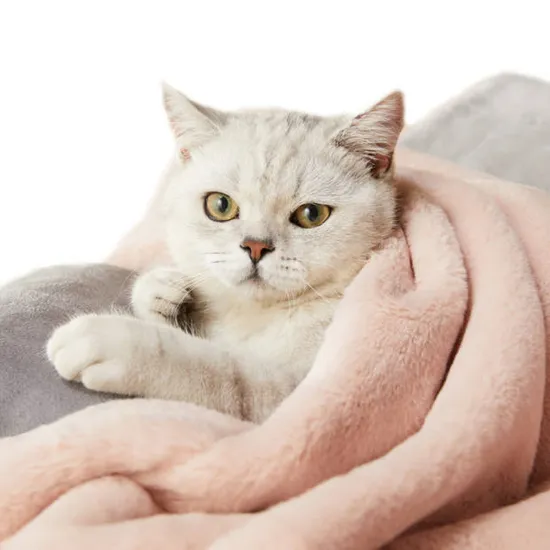 Ufbemo Hot Sale Wholesale Manufacturer Washable Luxury Premium Soft Plush Cat Pet Dog Blanket Throw Bed 