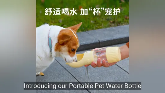 Portable Pet Water Bottle with Food Cup for Dogs 
